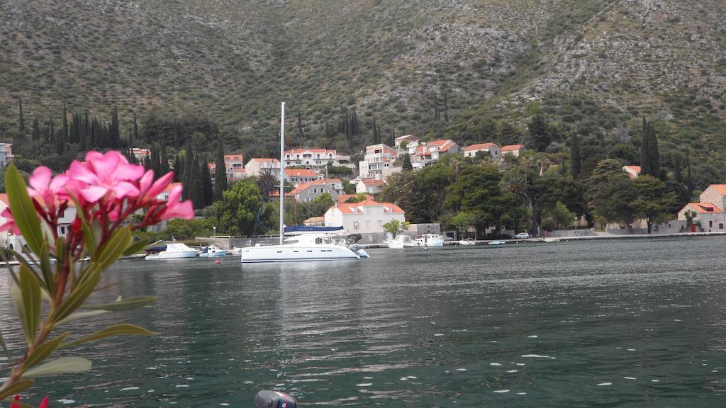 Zaton Apartmán Zaton (Dubrovnik-Neretva)