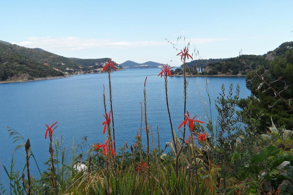 Zaton * Zaton (Dubrovnik-Neretva)